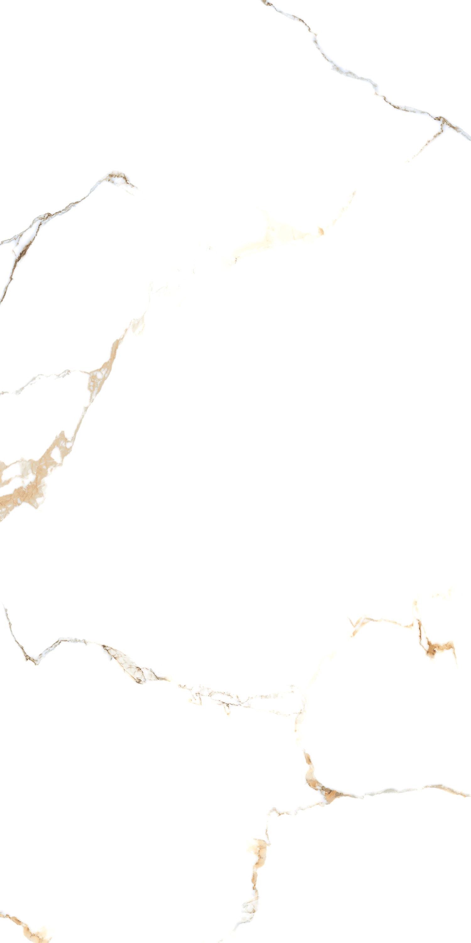 Porcelain Tile 60x120 Golden Statuario (Glossy)